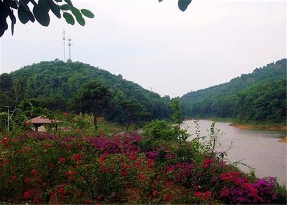 ג'יאנגמן Phoenix Hotel Wuyi מראה חיצוני תמונה